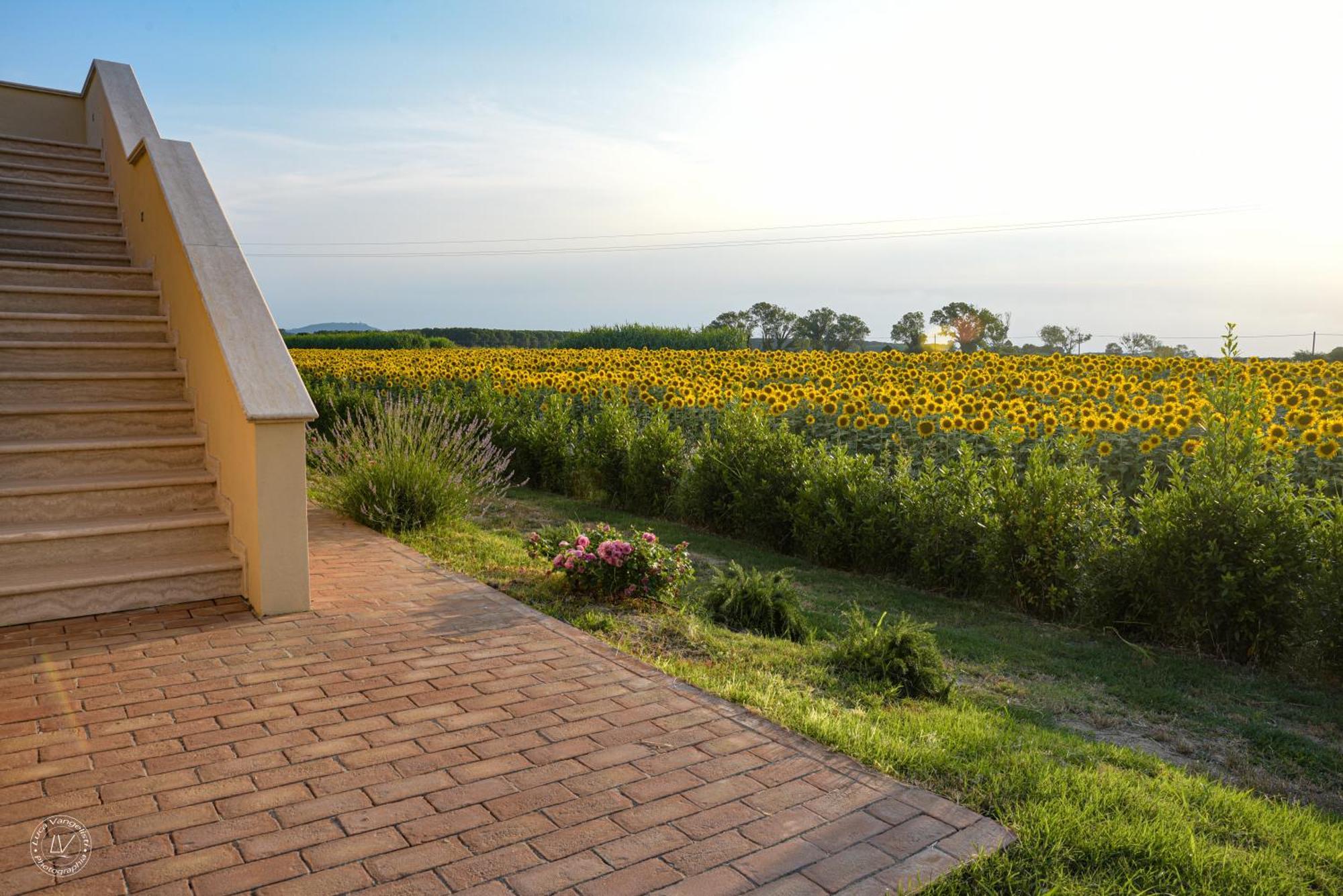 Agriturismo Villa Toscana Campiglia Marittima Luaran gambar